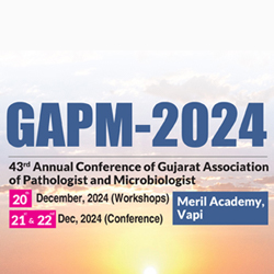 GAPM 2024