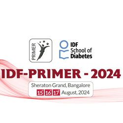 IDF PRIMER 2024